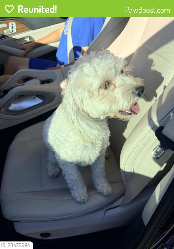 Reunited Female Dog last seen Chelton Drive and Girvin Drive, Oakland, CA 94611