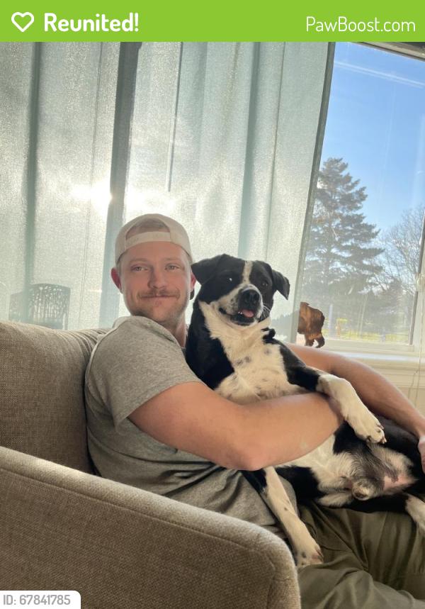 Reunited Male Dog last seen S Cherokee St, Englewood, CO, USA, Englewood, CO 80110