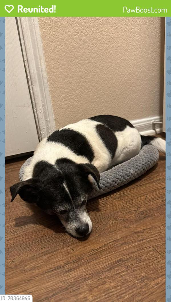 Reunited Male Dog last seen Slaughter Ln and Brandt Rd , Austin, TX 78744