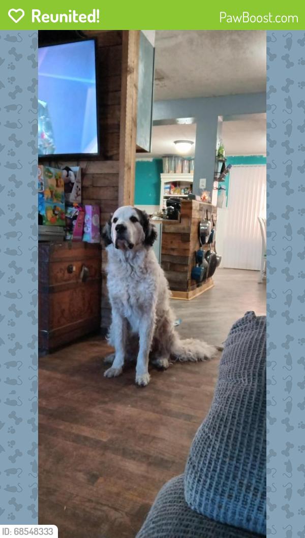 Reunited Male Dog last seen Clearlake and Michigan by Walmart , Cocoa, FL 32926