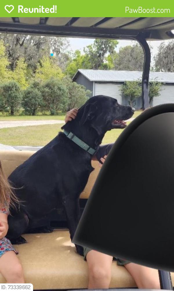 Reunited Female Dog last seen Forest Creek Run, De Leon Springs, FL 32130