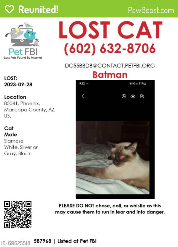 Reunited Male Cat last seen Baseline Rd and 12th Ave, Phoenix, AZ 85041