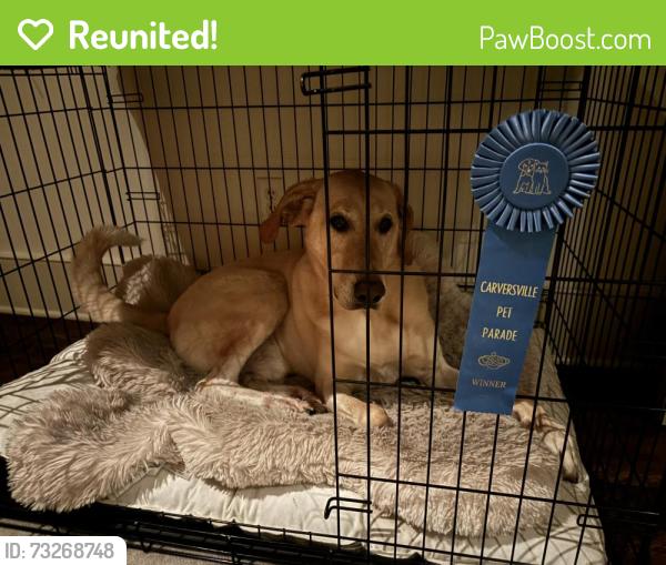 Reunited Male Dog last seen Aquetong & Mechanicsville Road, Carversville, PA 18913