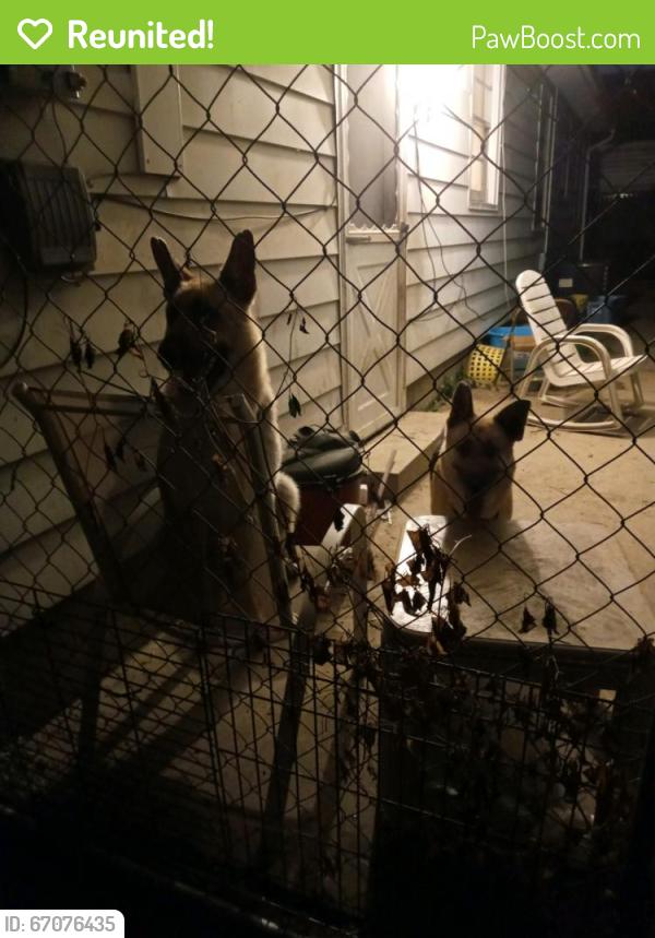 Reunited Unknown Dog last seen Shelby street and Sumner, Indianapolis, IN 46227