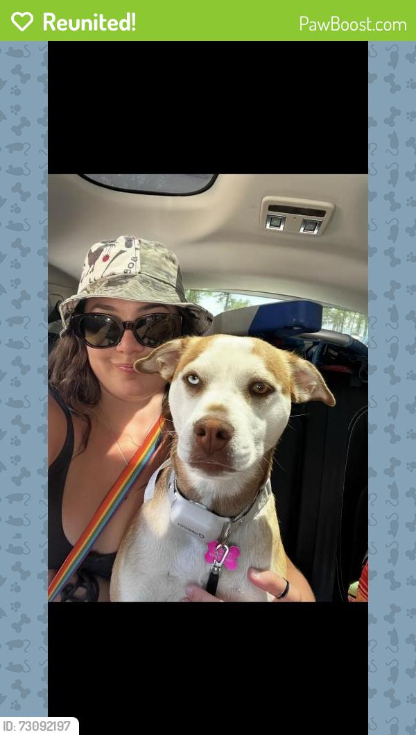 Reunited Female Dog last seen Park Ave & Soquel Dr, Soquel, CA 95073, USA, Soquel, CA 95073