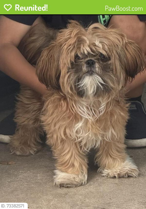 Reunited Female Dog last seen Crookpost Dr, Princeton, TX 75407