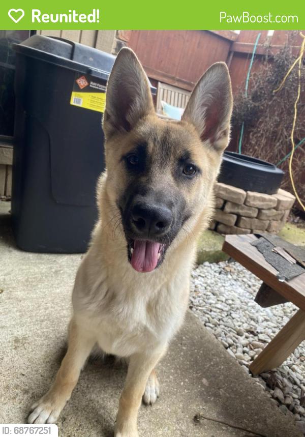 Reunited Unknown Dog last seen Maple Ave, Dallas, TX, USA, Dallas, TX 75219