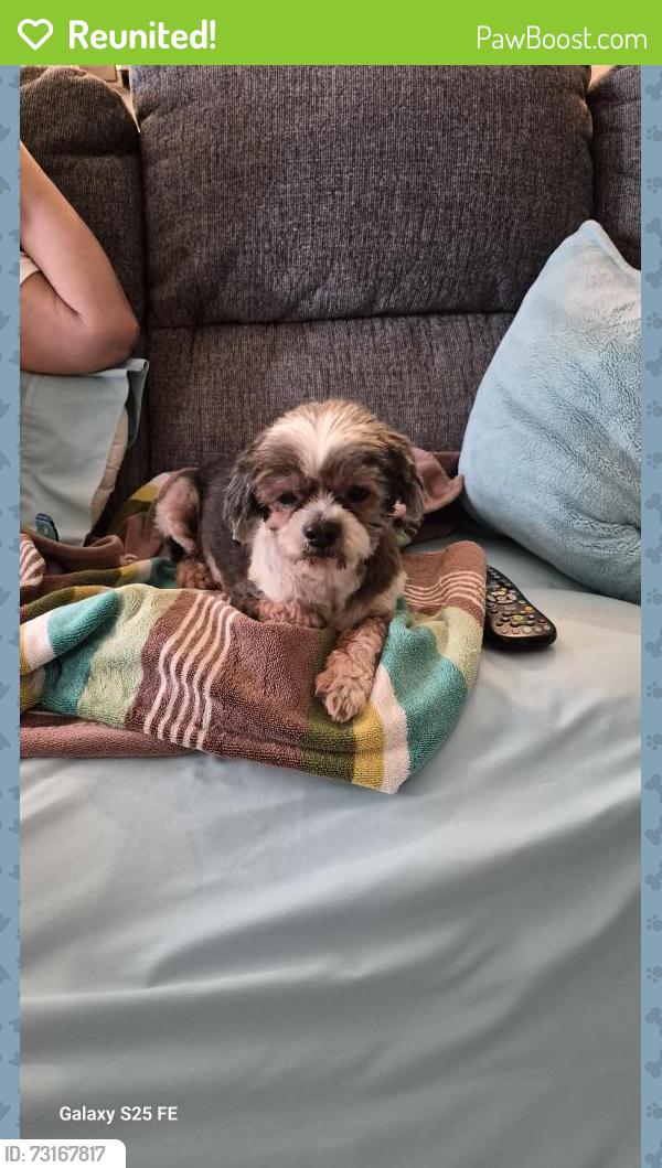 Reunited Female Dog last seen Hanging Rock and Stepstones Drive, Boiling Springs, SC 29316