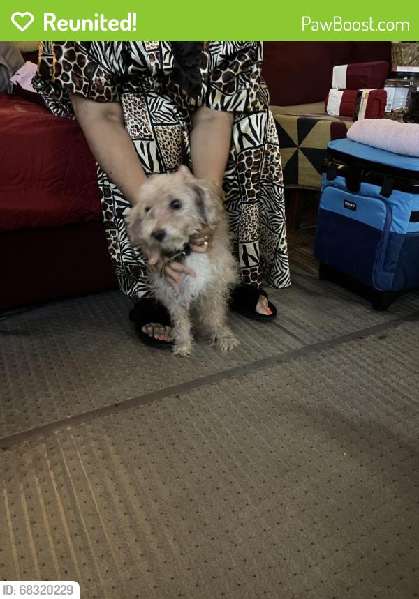 Reunited Male Dog last seen Main Street jonesboro GA, Noahs Ark Rd, GA 30236
