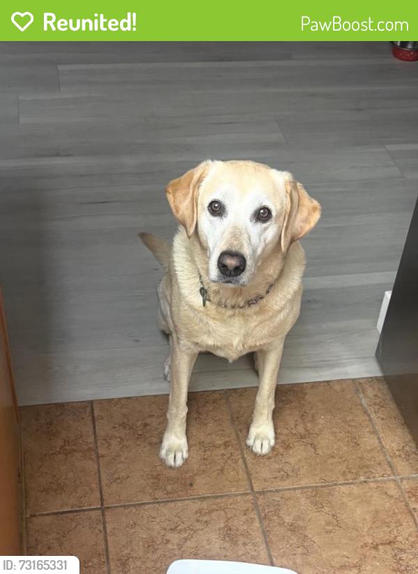 Reunited Female Dog last seen Mission Grove Parkway and New Ridge Drive, Riverside, CA 92506