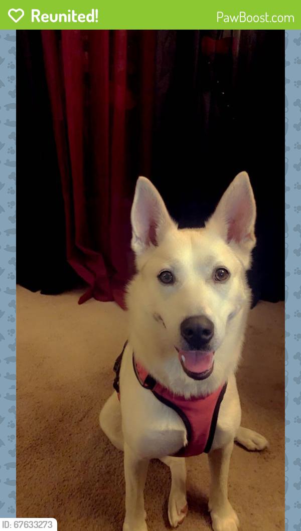 Reunited Female Dog last seen Riverbend, Columbus, OH 43223