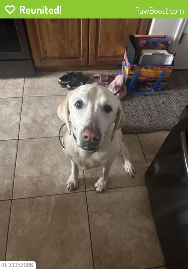 Reunited Male Dog last seen River Oaks Golf Sandy City Utah, Sandy, UT 84070
