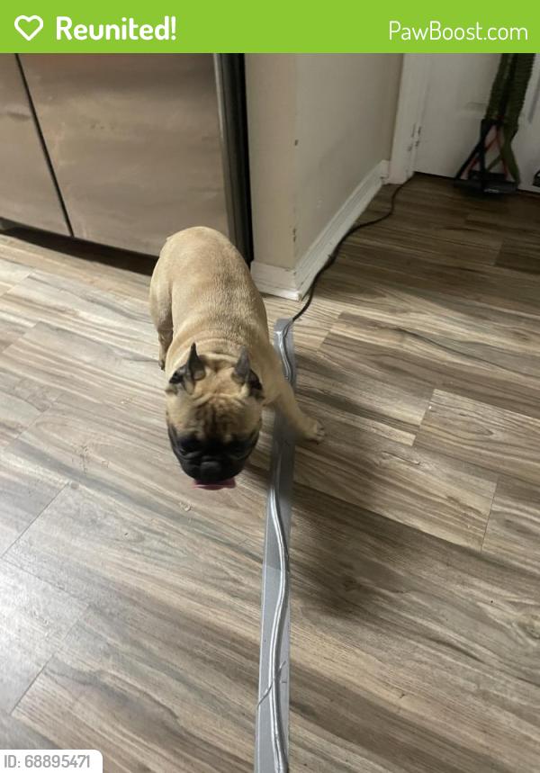Reunited Male Dog last seen Vutera Dr, Hammond, LA 70403, USA, Hammond, LA 70403