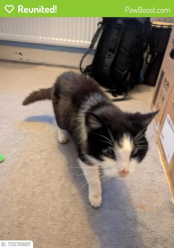Reunited Female Cat last seen Wythensawe Community centre, Wythenshawe, England 