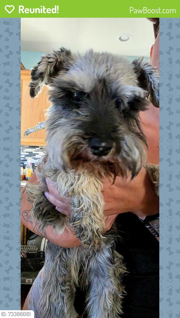 Reunited Unknown Dog last seen Hwy2 and 104rh, Commerce City, CO 80022