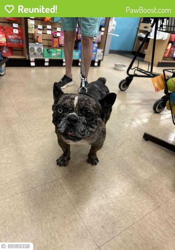 Reunited Male Dog last seen Around Springhill elementary school, Spring Hill, FL 34609
