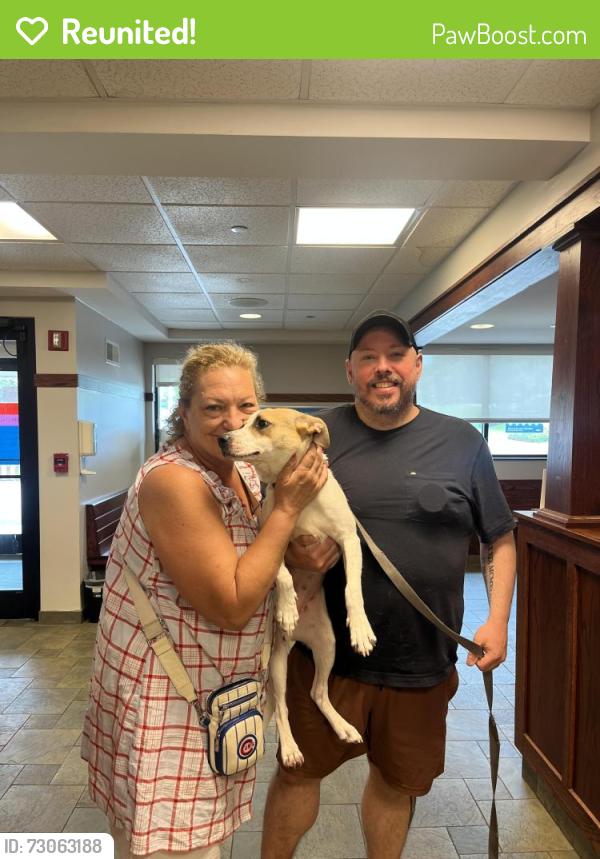 Reunited Female Dog last seen I block south of downers grove South high school off of Palmer Street, Downers Grove, IL 60516