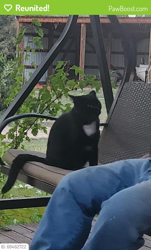 Reunited Male Cat last seen CR 47 and CR 70 Eaton, CO, Weld County, CO 80631
