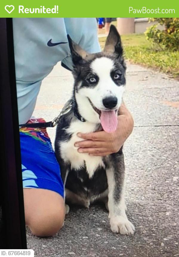 Reunited Male Dog last seen Near Ruswood Road, Winder, GA 30680