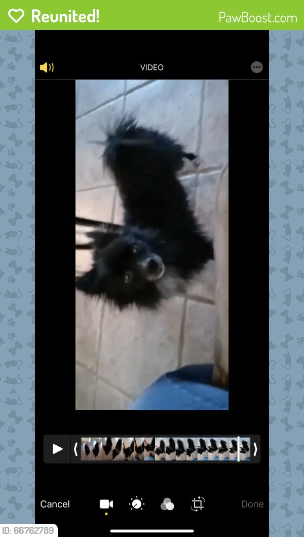 Reunited Female Dog last seen Del city, Del City, OK 73115