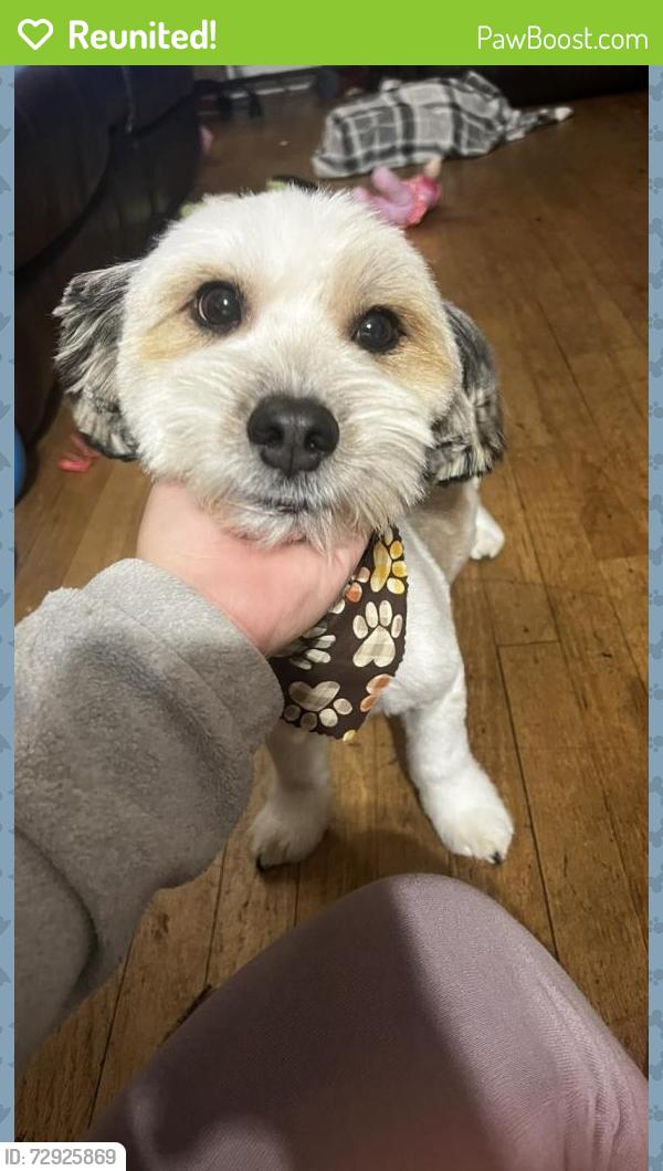 Reunited Male Dog last seen 95th and Escanaba Ave , Chicago, IL 60617