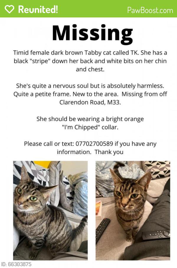 Reunited Female Cat last seen Clarendon Road/Northernden Road, Greater Manchester, England M33 2DR