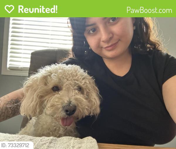 Reunited Male Dog last seen Rojo tierra & Lassselle st, Moreno Valley, CA 92555