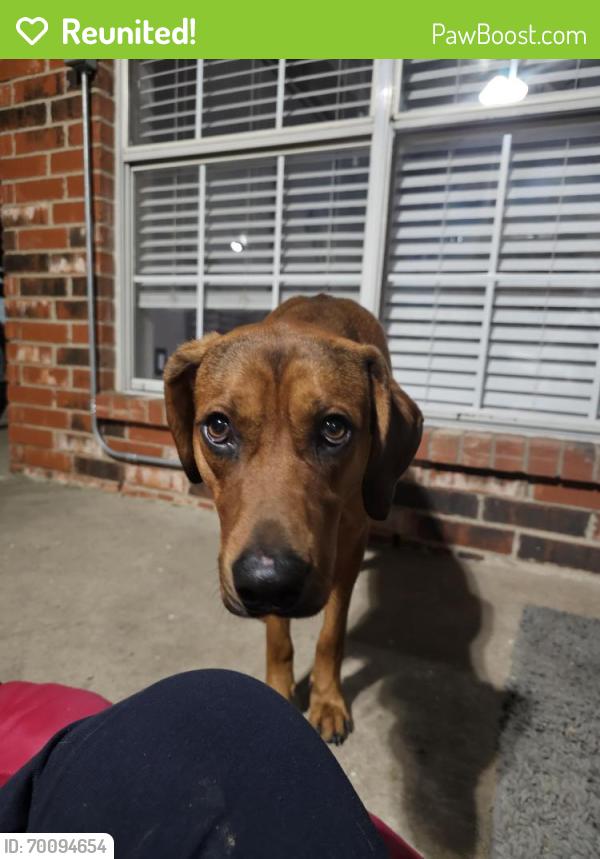 Reunited Male Dog last seen Fm 740 and 548, Forney, TX 75126