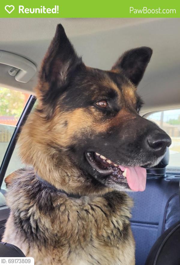 Reunited Unknown Dog last seen Yucca Loma & Kiowa, Apple Valley, CA 92395