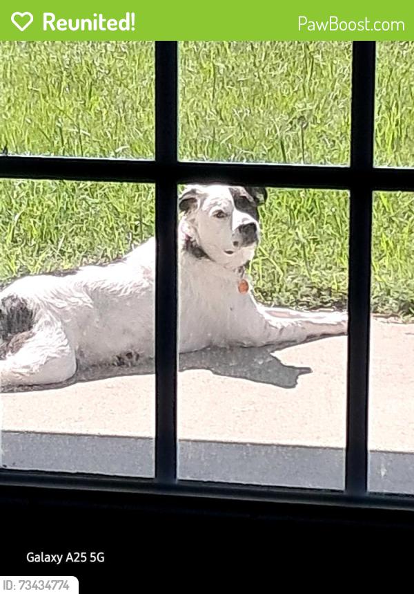 Reunited Female Dog last seen Flowers, Hinesville, GA 31313