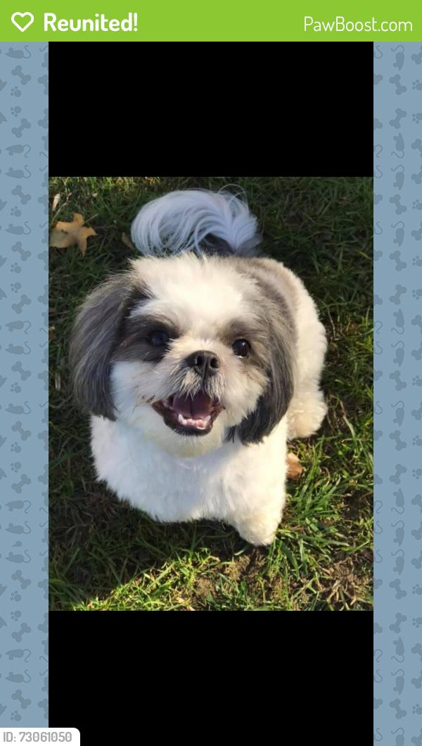 Reunited Male Dog last seen Near ward Rd Columbus Ohio, Columbus, OH 43224
