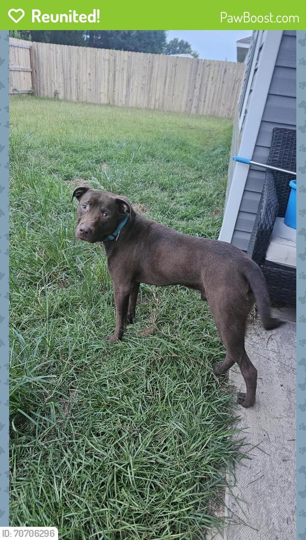 Reunited Male Dog last seen Davis highway and Brent Avenue, Pensacola, FL 32503