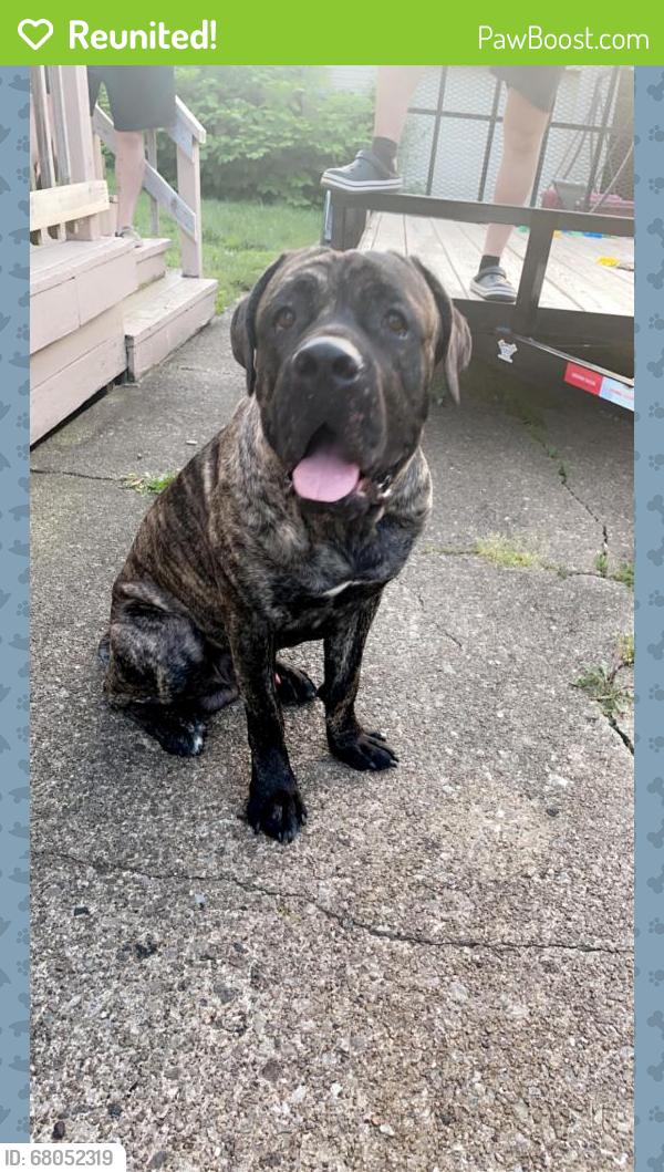 Reunited Male Dog last seen Tallmadge Ave. , Akron, OH 44310