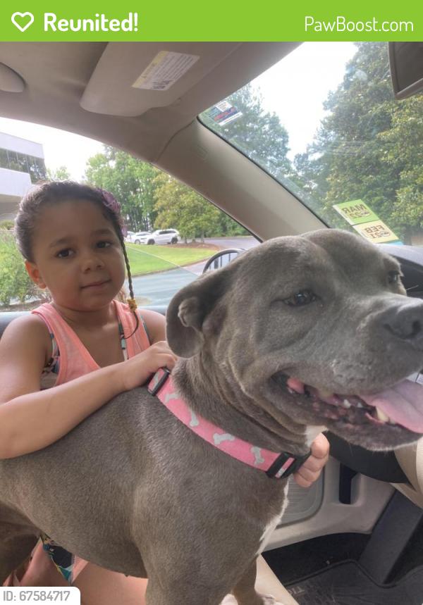 Reunited Female Dog last seen Near Columbia drive, Decatur, GA 30032