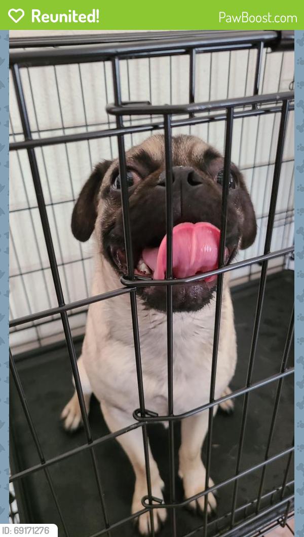Reunited Male Dog last seen Business 1187, Crowley, TX 76036