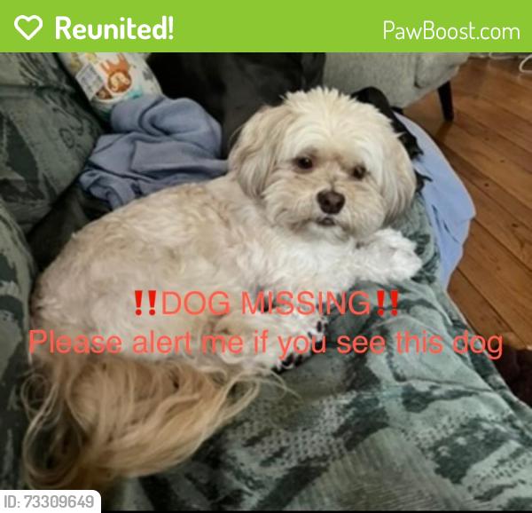 Reunited Female Dog last seen Day and Ohio st Miami Fl 33133, Miami, FL 33133