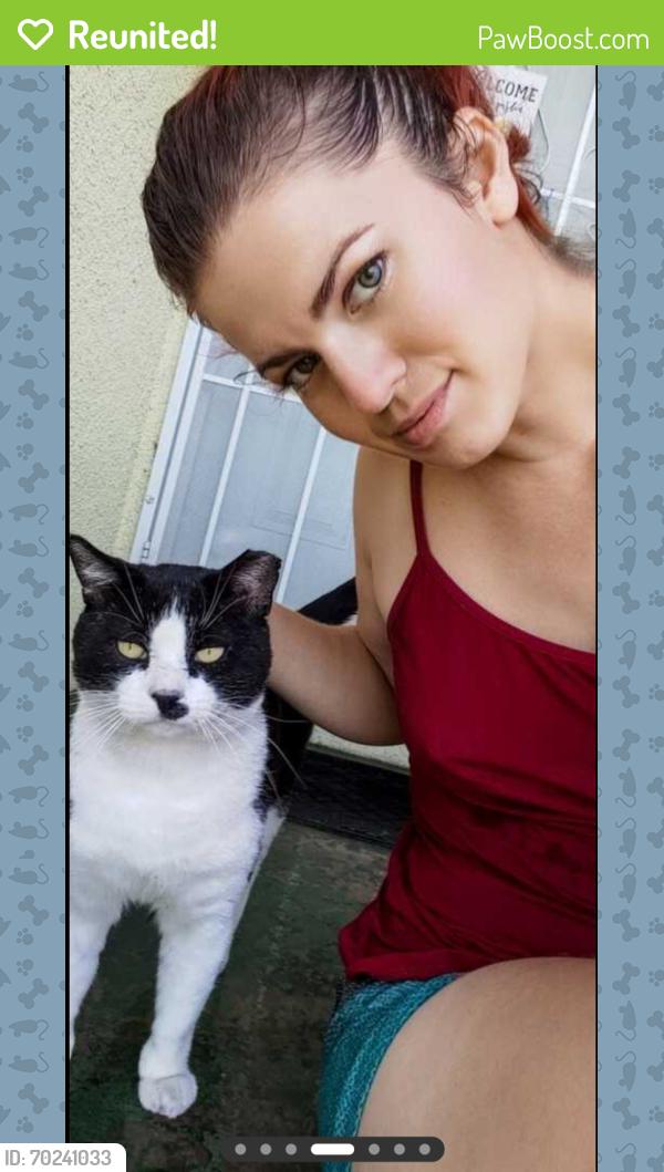 Reunited Male Cat last seen Near N Yaleton Ave, Covina, CA 91722, USA, Covina, CA 91722