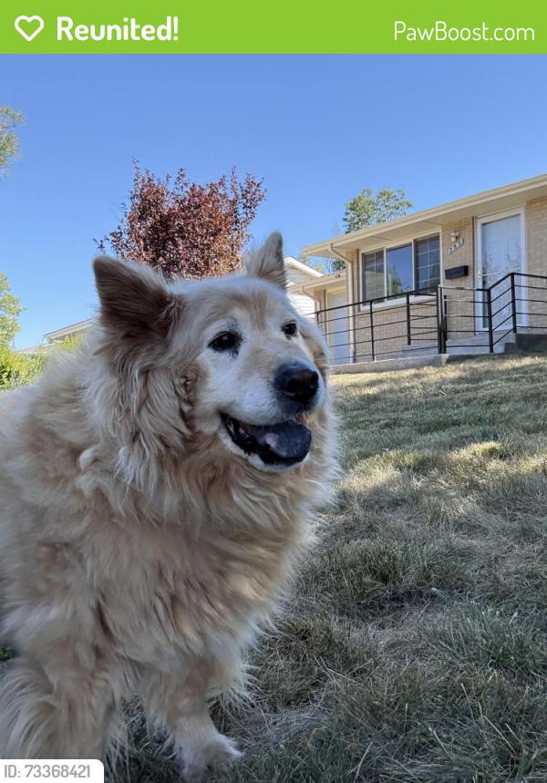 Reunited Male Dog last seen Near emerald elementary off Beryl Way and Emerald Street, Broomfield, CO 80020