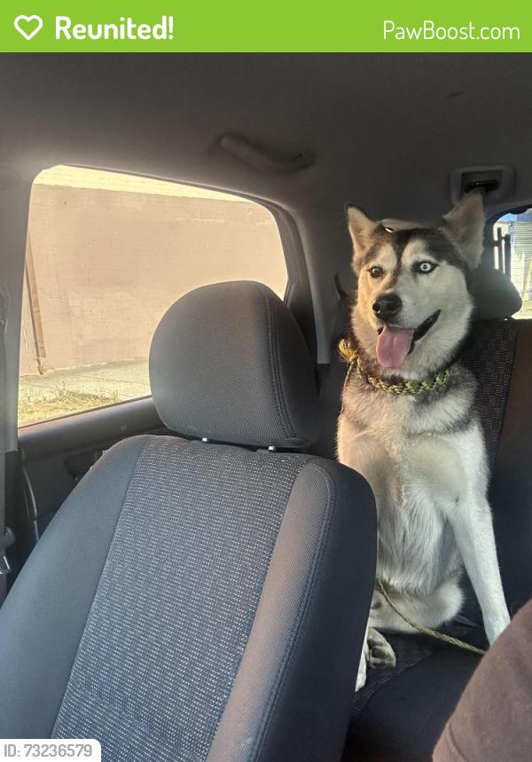 Reunited Male Dog last seen soto and valley, Los Angeles, CA 90032