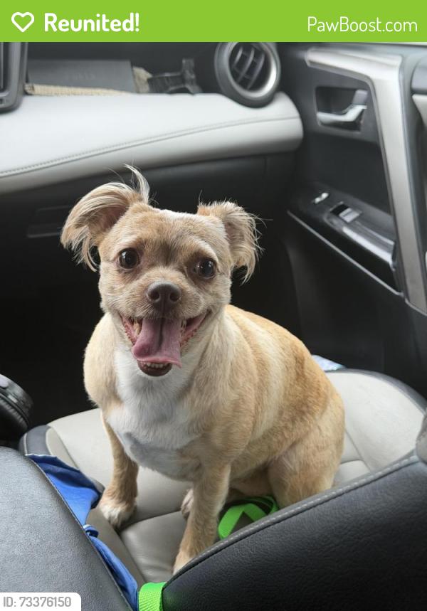 Reunited Female Dog last seen Econ River, Orlando, FL 32817