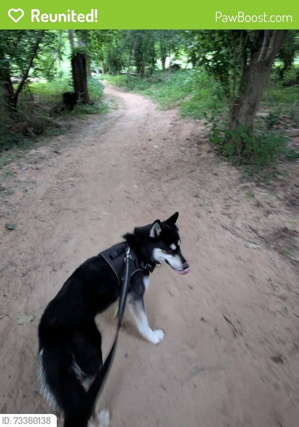 Reunited Male Dog last seen Eastside Baptist church, Spartanburg, SC 29307
