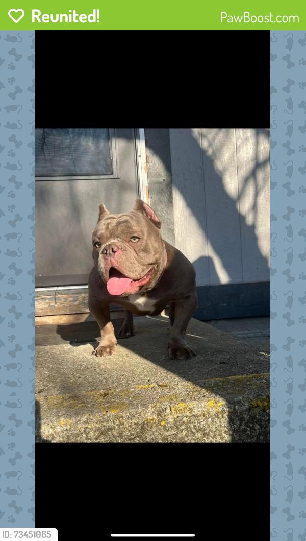Reunited Male Dog last seen reeb & barthman, Columbus, OH 43207
