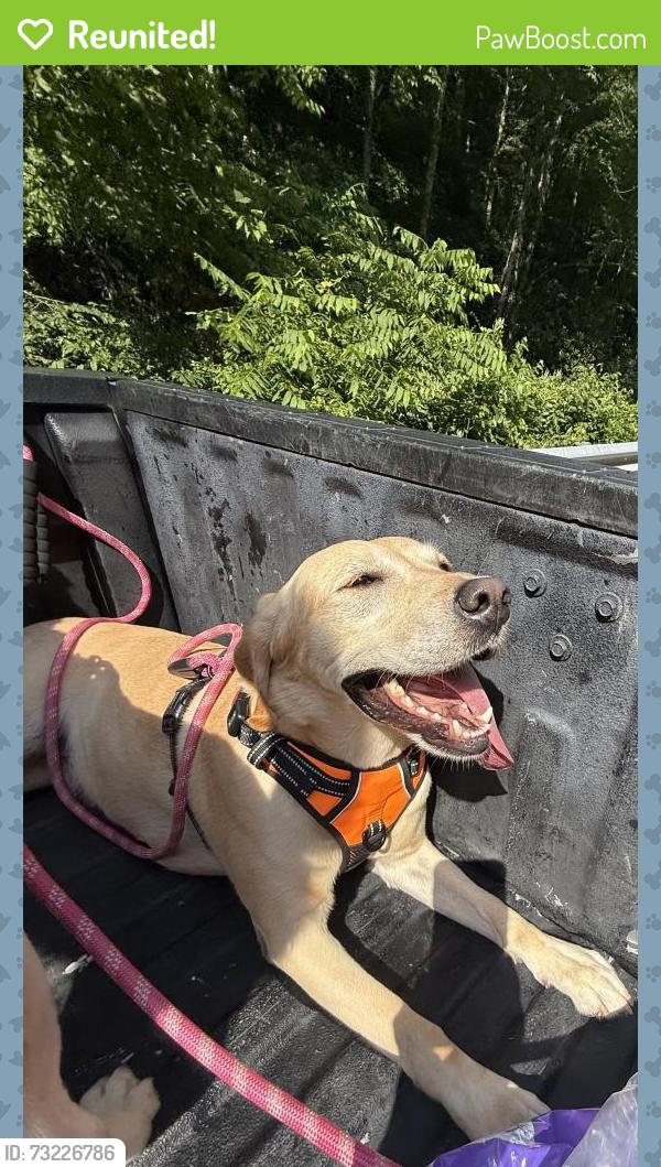 Reunited Female Dog last seen Centerville Mall, Centerville, GA 31028