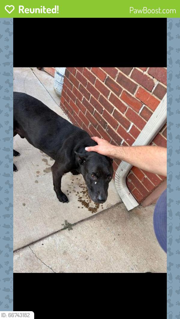 Reunited Male Dog last seen Sequoyah Elementary, Oklahoma City, OK 73112