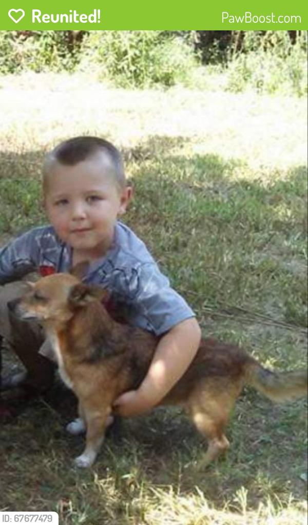 Reunited Male Dog last seen Erin Lane, Pickens SC, Pickens County, SC 29671