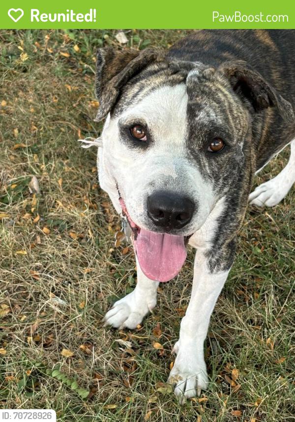 Reunited Male Dog last seen North Columbus St, Lancaster, OH 43130