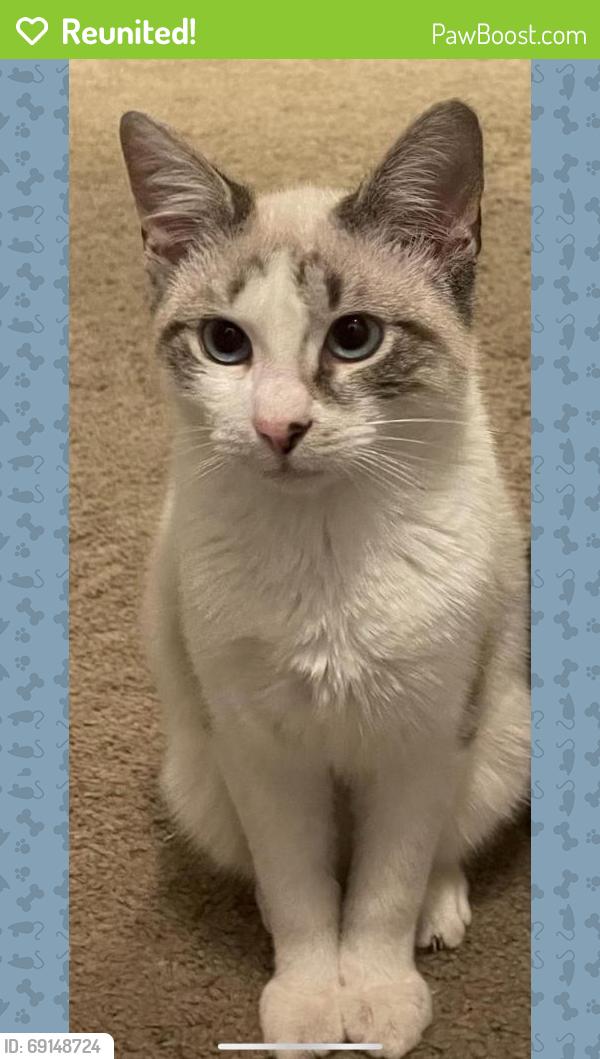 Reunited Male Cat last seen Church, Thomasville, NC 27360