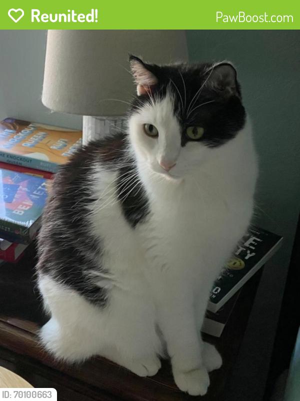 Reunited Male Cat last seen 63rd and MacArthur , Warr Acres, OK 73132