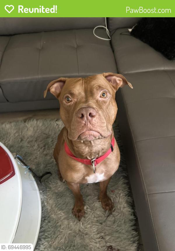 Reunited Male Dog last seen Coral Springs, FL, USA, Coral Springs, FL 33065