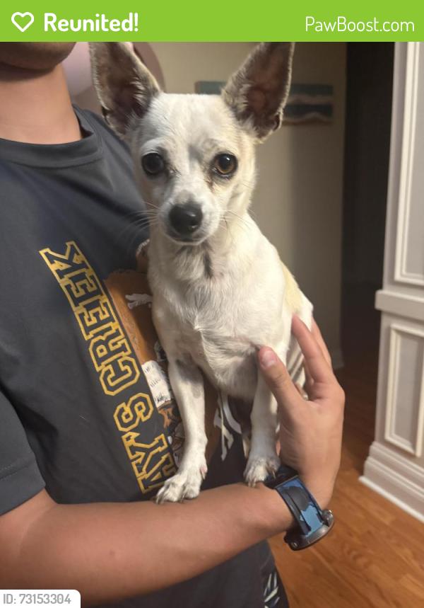 Reunited Male Dog last seen Arnette park, Fayetteville, NC 28306